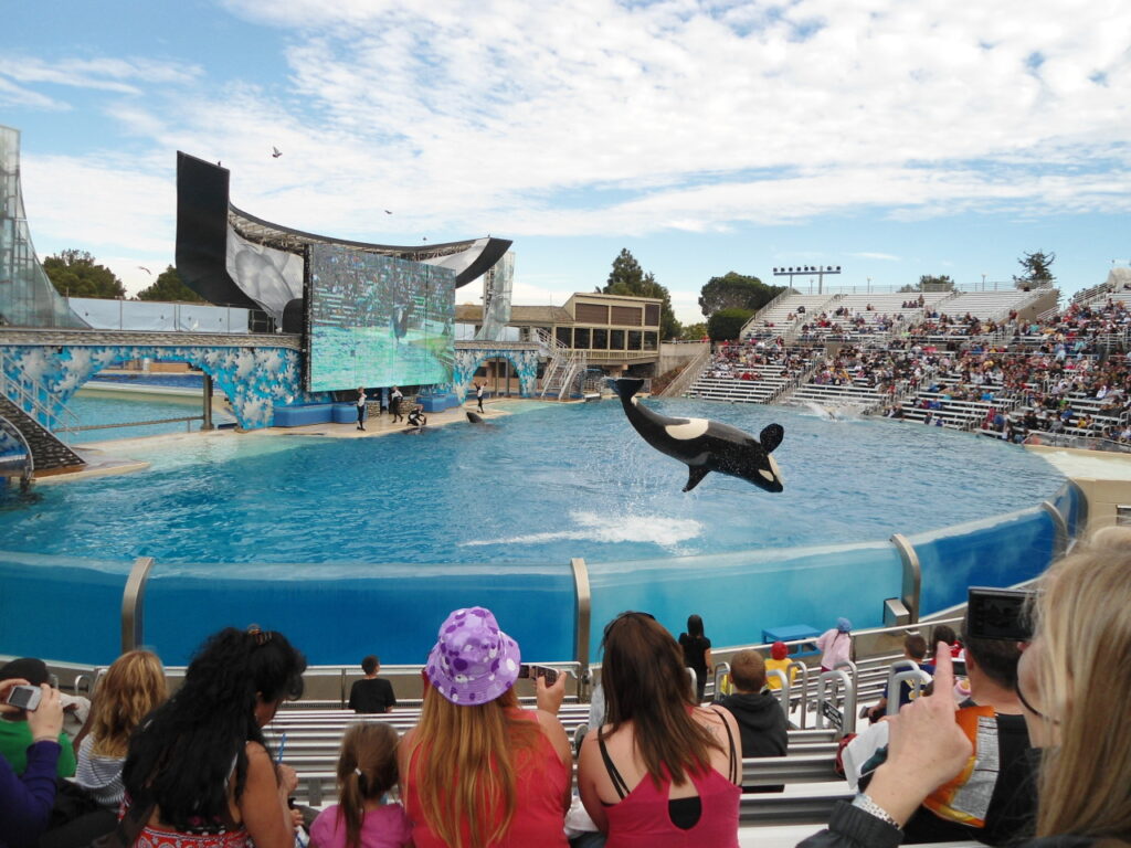 How Big Were SeaWorld's Keeping Pools?